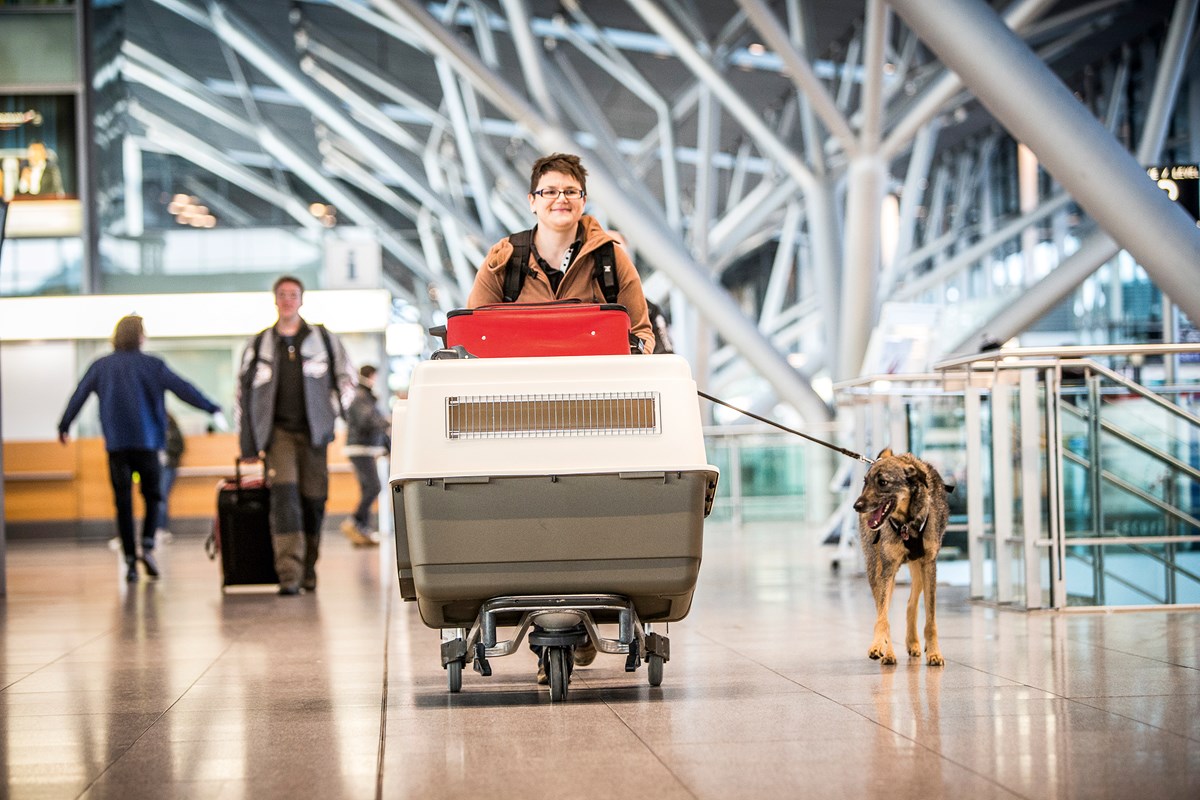 Frau mit Hund und Hundebox im Terminal unterwegs